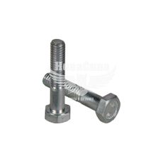 Болт заспокоювача ланцюга 2101-07 (БелЗАН) (6х30мм.)