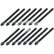 Болт (набор) ГБЦ BMW 5 (E39) 2.0, 2.5, 2.8, 3.0 з96-04р.в. (Elring)