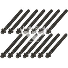 Болт (набор) ГБЦ BMW 5 (E39) 2.5, 2.8 с95-00г.в. (Elring)