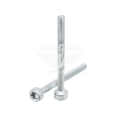 Болт крепления форсунок MB Sprinter CDI з06р.в. (AUTO Techteile)