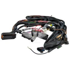 Электропроводка D. Sens (Украина) (блок управления Микаса 10.3)