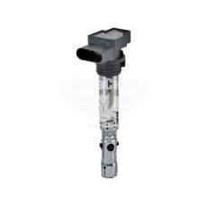 Модуль зажигания Skoda Fabia 1.2 с02-14г.в. (Profit)