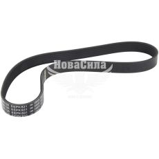 Ремень поликлиновой 6PK831 (Bosch) генер. F. Transit с00-06г.в. (2.0DI, 2.0TDCi)