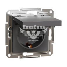Розетка одинарна Schneider Electric Asfora з/з з кришкою, антрацит, (без рамки) (EPH3100171)