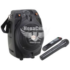 Портативная акустическая система (Akai) 30Вт, 20Гц-20кГц (SS022A-X6)