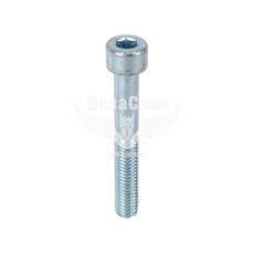 Болт 8х55 з внутр. шестигранником (БелЗАН) (HSHCS855W)