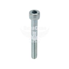 Болт 8х60 з внутр. шестигранником (БелЗАН) (HSHCS860W)