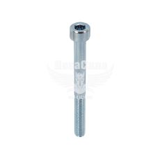 Болт 6х60 з внутр. шестигранником (БелЗАН) (HSHCS660W)