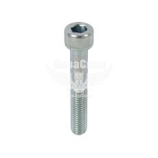 Болт 10х60х1,5 з внутр. шестигранником (БелЗАН) (HSHCS1060W)