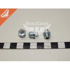 Масльонка М10х1.0 пряма (ДК) (DK-0001)