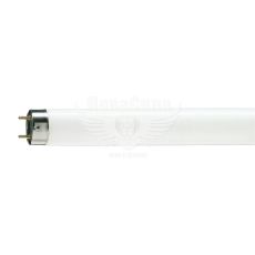 Енергозберігаюча лампа Osram G13 TL-D 36Вт 6500K T8 ()