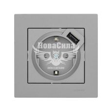 Розетка одинарна Lezard Vesna з/з + USB роз'єм, платина (742-3588-181)