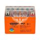АКБ мото гелевий 12V 4-А/Ч R+ (Terri) (113х70х85)