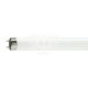 Енергозберігаюча лампа Osram G13 TL-D 36Вт 6500K T8 ()