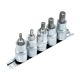 Набір торцевих головок з бітою TORX (Intertool) 5 предметів 1/2'' (HT-1850)
