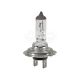 Лампочка галогенна H7 PX26d 24V-70Вт (Brevia) (Power Duty) (24070PDC)