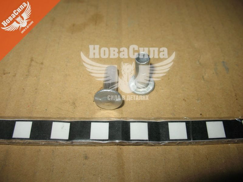 Заклепка гальмівної колодки 8х22 MB 814 зад. (Begel)