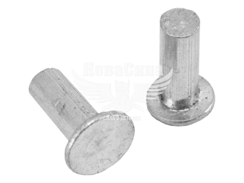 Заклепка гальмівної колодки 4х10 MB 207-310 зад. (Begel)