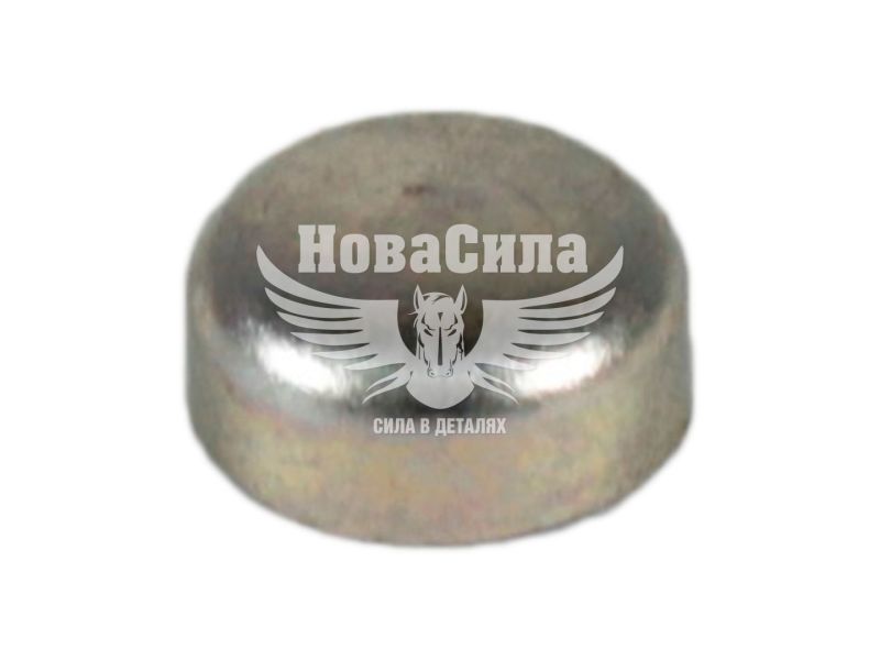 Заглушка колінчатого валу 2101-07 діам.10 (БелЗАН)