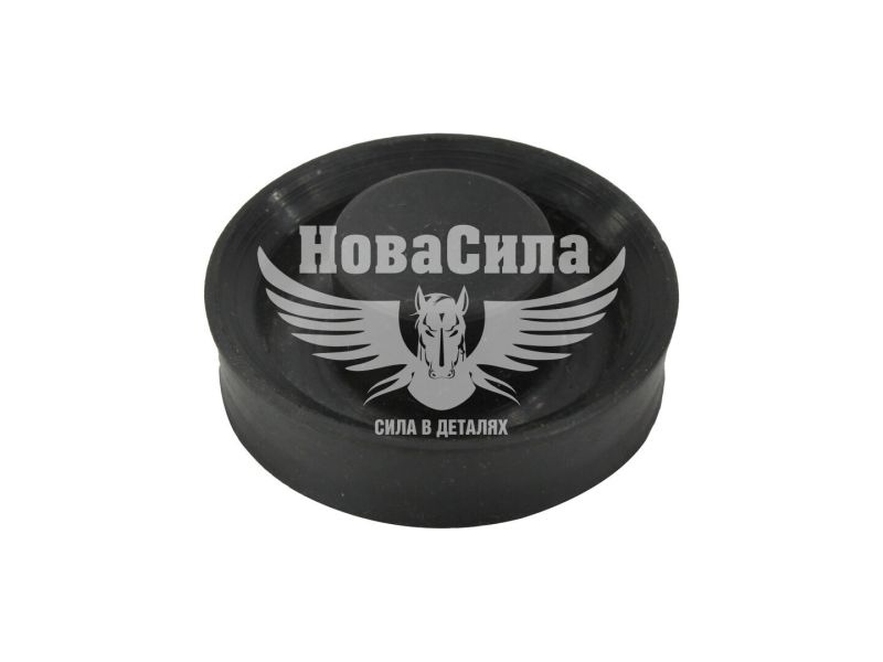 Сальник 10,5х29х13 ПГУ 5320-Камаз (СНД)