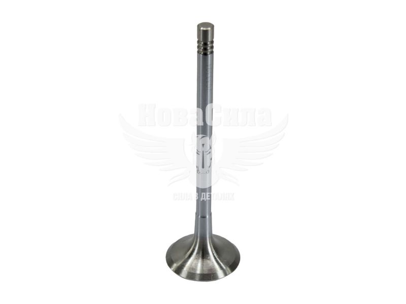 Клапан головки блоку Audi A4 з95-02р.в. випуск (BGA) (1.8)