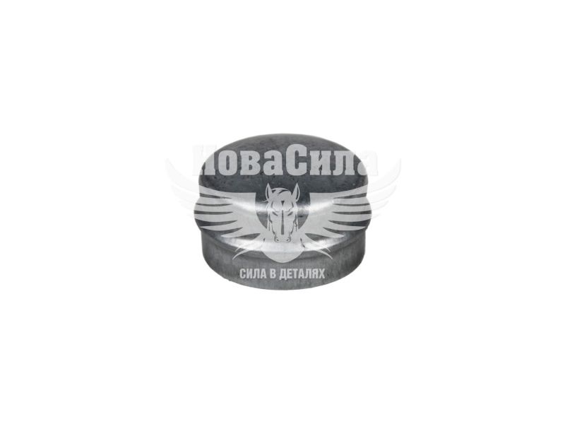Ковпак ступиці 2101-06 (БелЗАН)