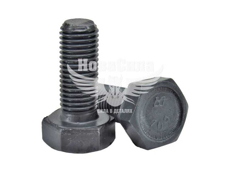 Болт зірочок розпредвалу (М10х1,25 L-25мм.) 2101-07 (F 59707-30)