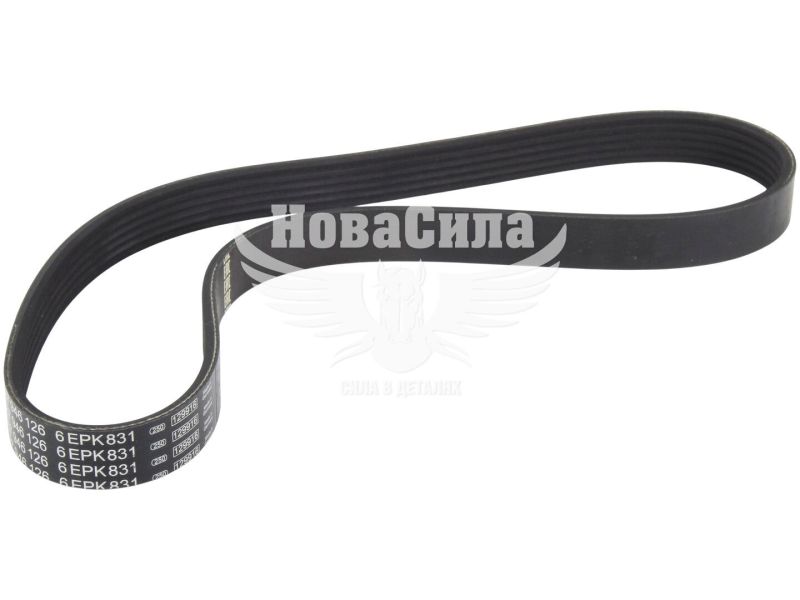 Ремінь поліклиновий 6PK831 (Bosch) генер. F. Transit з00-06р.в. (2.0DI, 2.0TDCi)