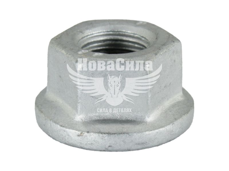 Гайка колектора D. Lanos (БелЗАН) (М10х1,25) ()