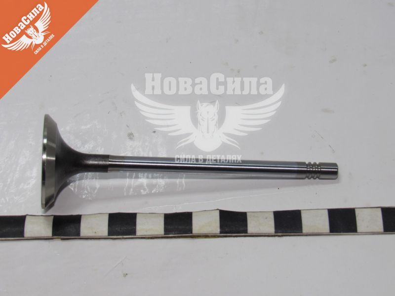 Клапан головки блоку Citroen Berlingo з99р.в. випуск (Freccia) (2.0HDI) (R6093BMCR)