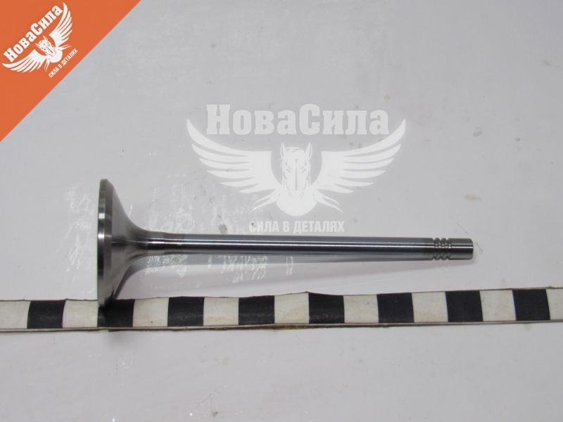 Клапан головки блоку Citroen Berlingo з99р.в. впуск (Freccia) (2.0HDI) (R6092/SCR)