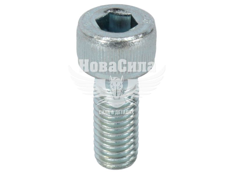 Болт 8х20 з внутр. шестигранником (БелЗАН) (HSHCS820W)