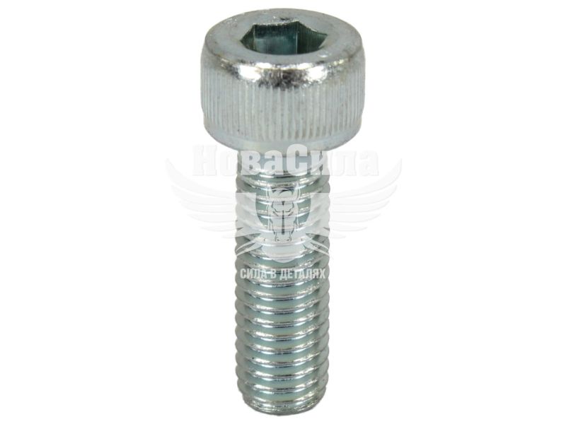 Болт 8х25 з внутр. шестигранником (БелЗАН) (HSHCS825W)