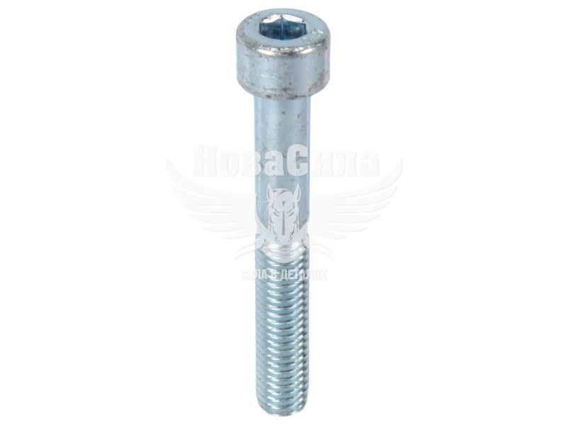 Болт 8х55 з внутр. шестигранником (БелЗАН) (HSHCS855W)