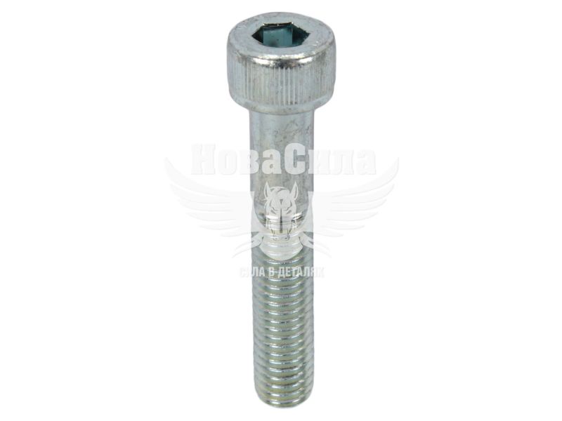 Болт 8х40 з внутр. шестигранником (БелЗАН) (HSHCS840W)