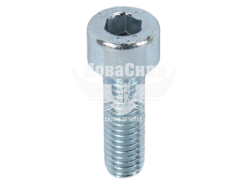 Болт 5х16 з внутр. шестигранником (БелЗАН) (HSHCS516W)