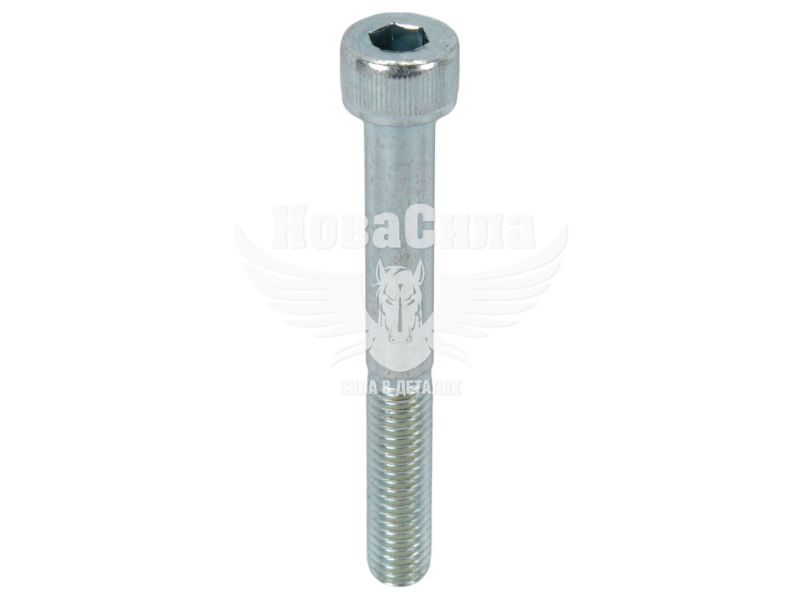 Болт 8х65 з внутр. шестигранником (БелЗАН) (HSHCS865W)