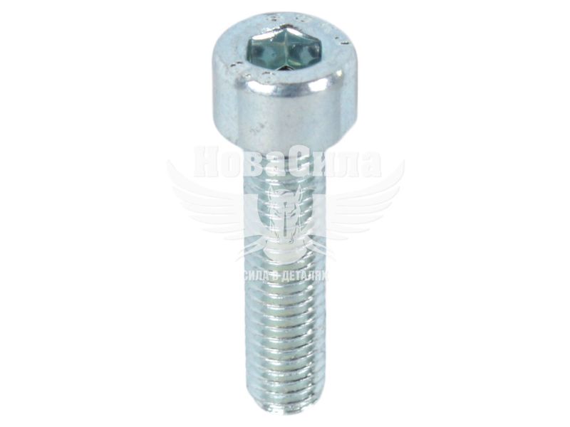 Болт 5х20 з внутр. шестигранником (БелЗАН) (HSHCS520W)