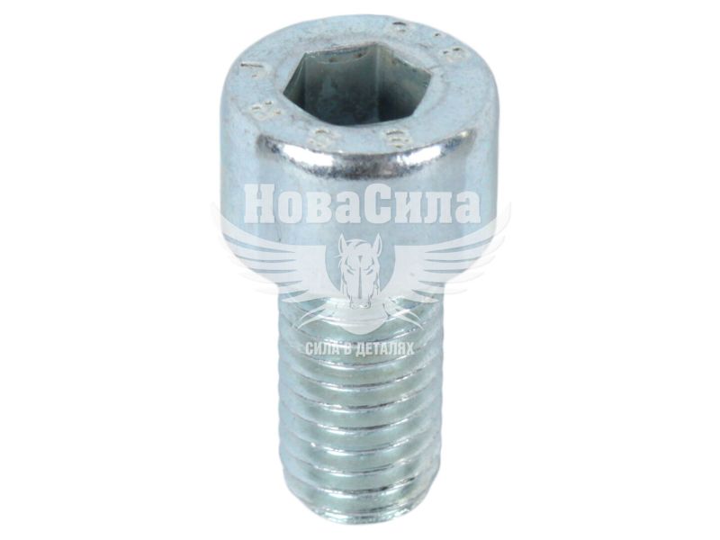 Болт 8х16 з внутр. шестигранником (БелЗАН) (HSHCS816W)
