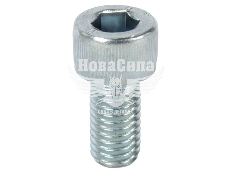 Болт 10х20х1,5 з внутр. шестигранником (БелЗАН) (HSHCS1020W)