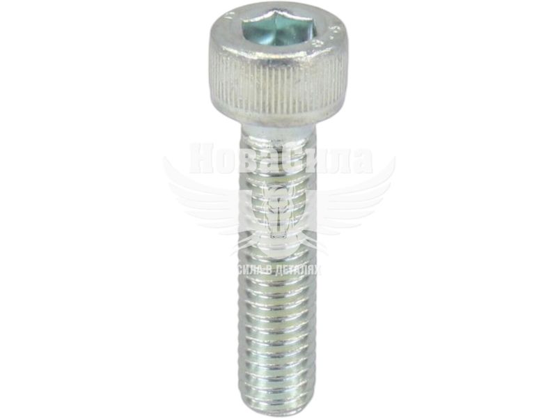 Болт 6х25 з внутр. шестигранником (БелЗАН) (HSHCS625W)