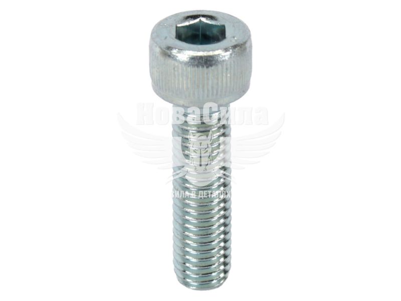 Болт 8х30 з внутр. шестигранником (БелЗАН) (HSHCS830W)