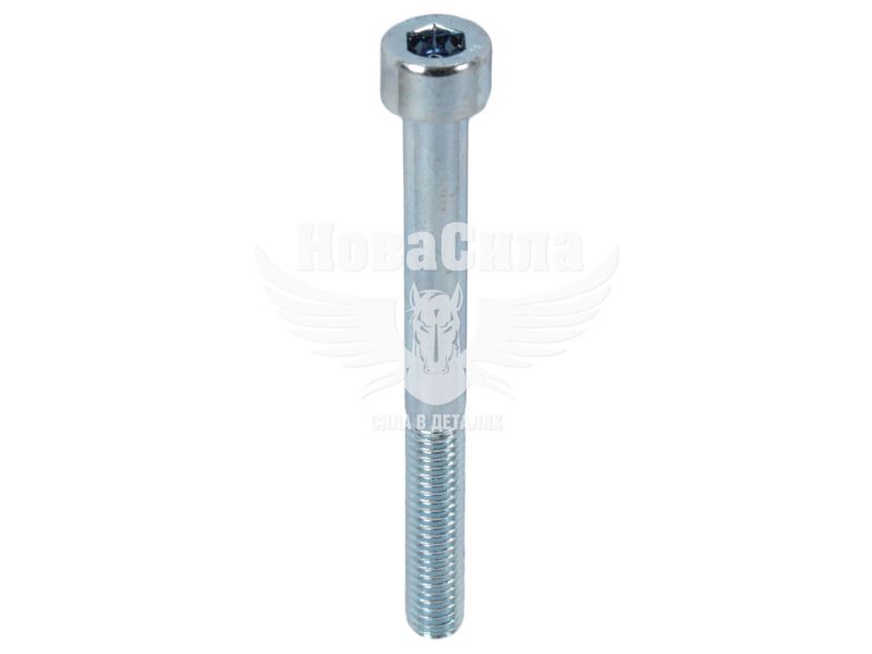 Болт 6х60 з внутр. шестигранником (БелЗАН) (HSHCS660W)