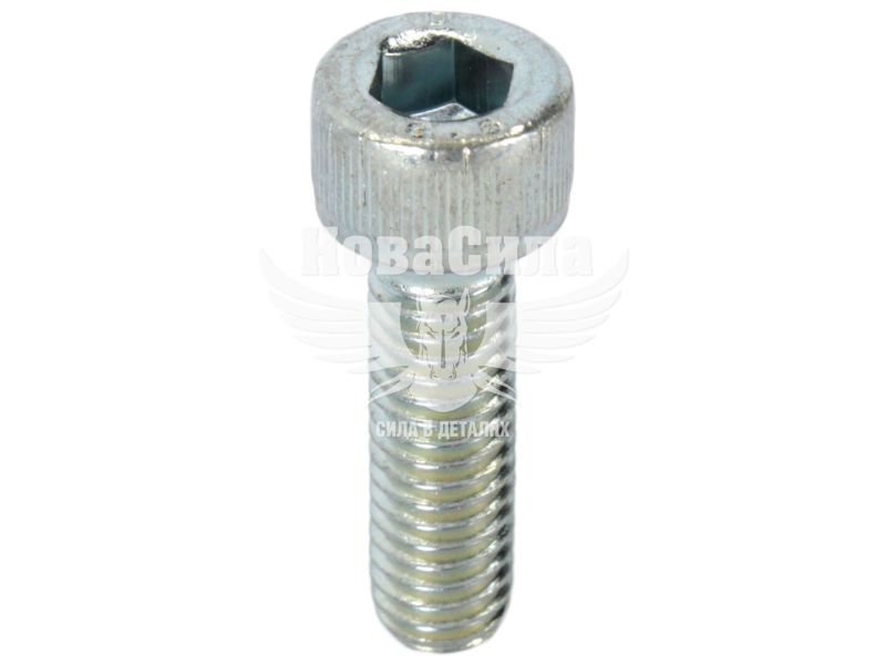 Болт 6х20 з внутр. шестигранником (БелЗАН) (HSHCS620W)
