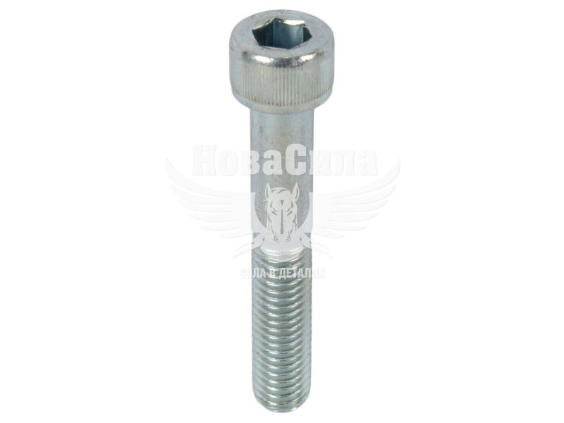Болт 10х60х1,5 з внутр. шестигранником (БелЗАН) (HSHCS1060W)