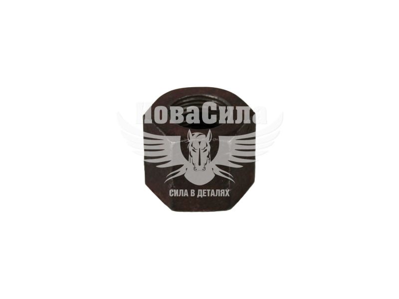 Гайка стремянки Богдан (Україна) (М18х1.5 під ключ 30) (32951214514)