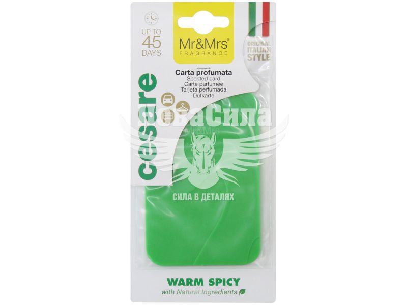 Ароматизатор (Mr&Mrs) Cesare Scented Card Green Warm Spicy (полімерний підвісний) (JCESTES008V01)