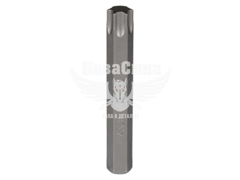 Насадка для викрутки T55 75мм. (Andrmax) TORX (біта) (107555T)