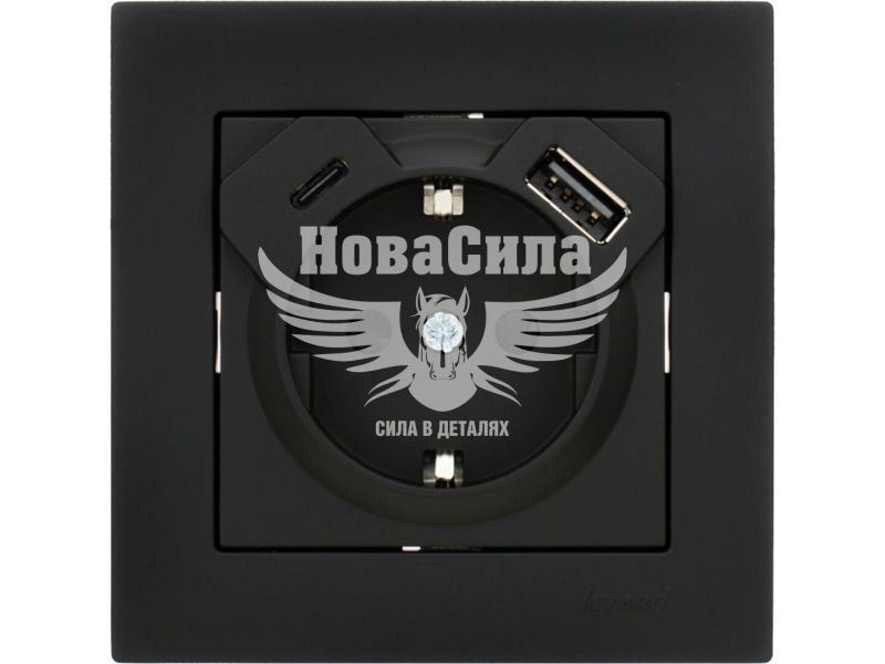 Розетка одинарна Lezard Vesna з/з + USB + Type C, антрацит (742-4288-181TC)