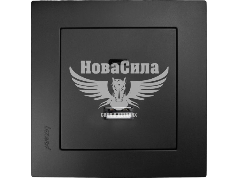 Розетка USB + Type C Lezard Vesna антрацит (742-4288-192TC)
